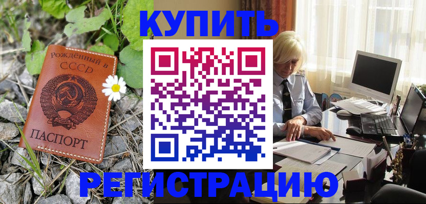 временная регистрация недорого в Новом Осколе